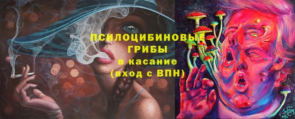 дживик Гусь-Хрустальный