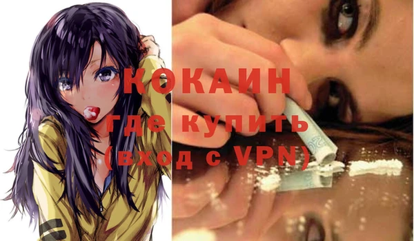 дживик Гусь-Хрустальный