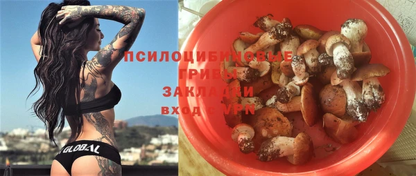 соль ск Шарыпово