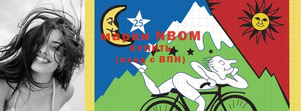 дживик Гусь-Хрустальный