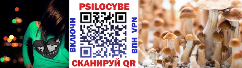 Псилоцибиновые грибы ЛСД  Донецк 