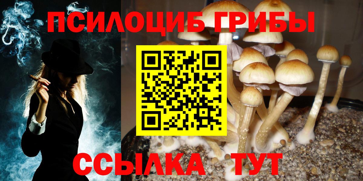 Псилоцибиновые грибы GOLDEN TEACHER Донецк